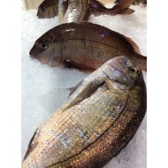 Φαγκρί 450-800 gr