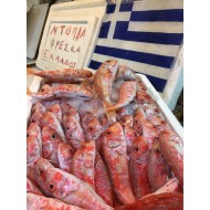 Μπαρμπούνι Ελλάδος